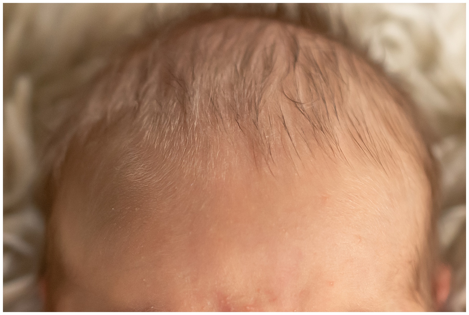 Lifestlye Newborn Portraits